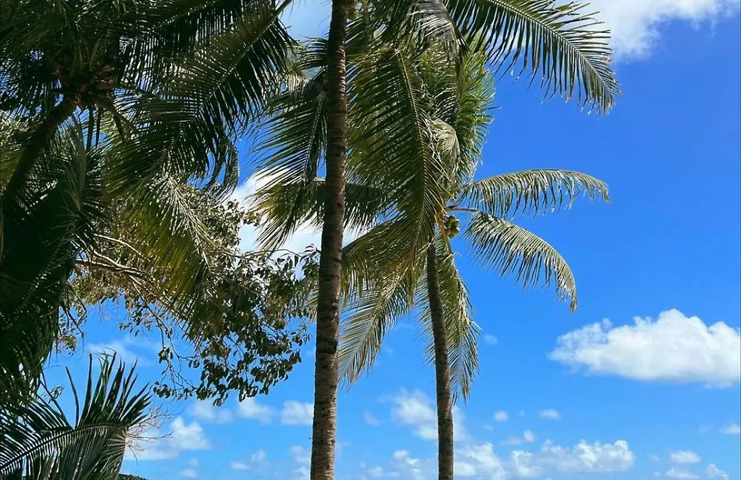 Pousada Minha Praia-1